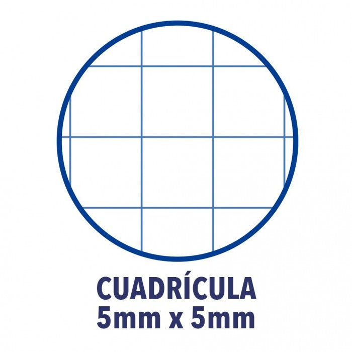 Caderno Quadriculado A4 80fl -Oxford