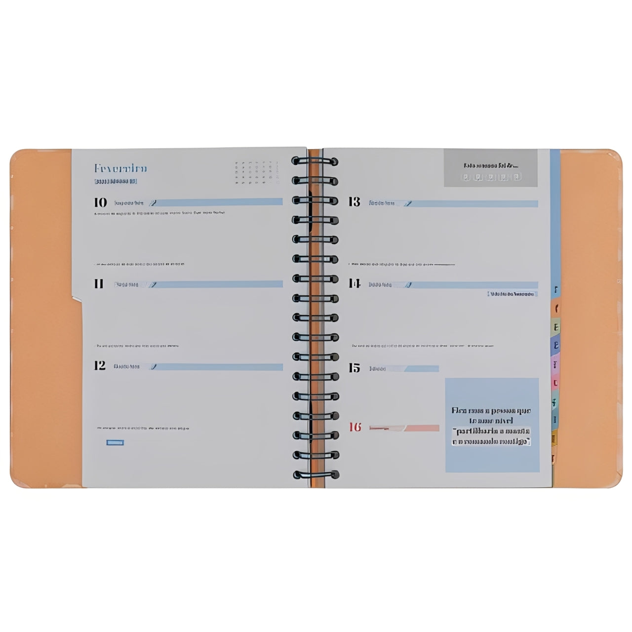 Agenda Mr Wonderful - Vai Correr Tudo Melhor que Bem