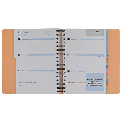 Agenda Mr Wonderful - Vai Correr Tudo Melhor que Bem