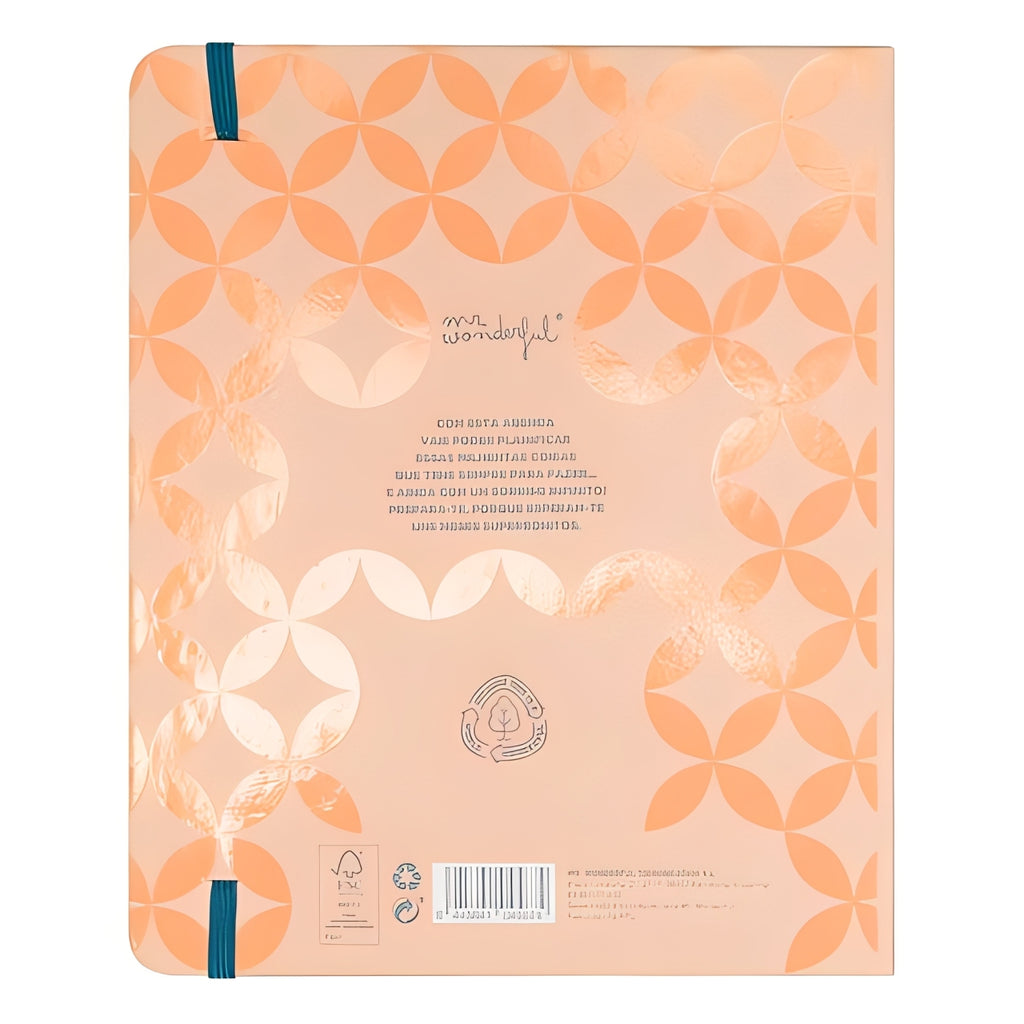 Agenda Mr Wonderful - Vai Correr Tudo Melhor que Bem
