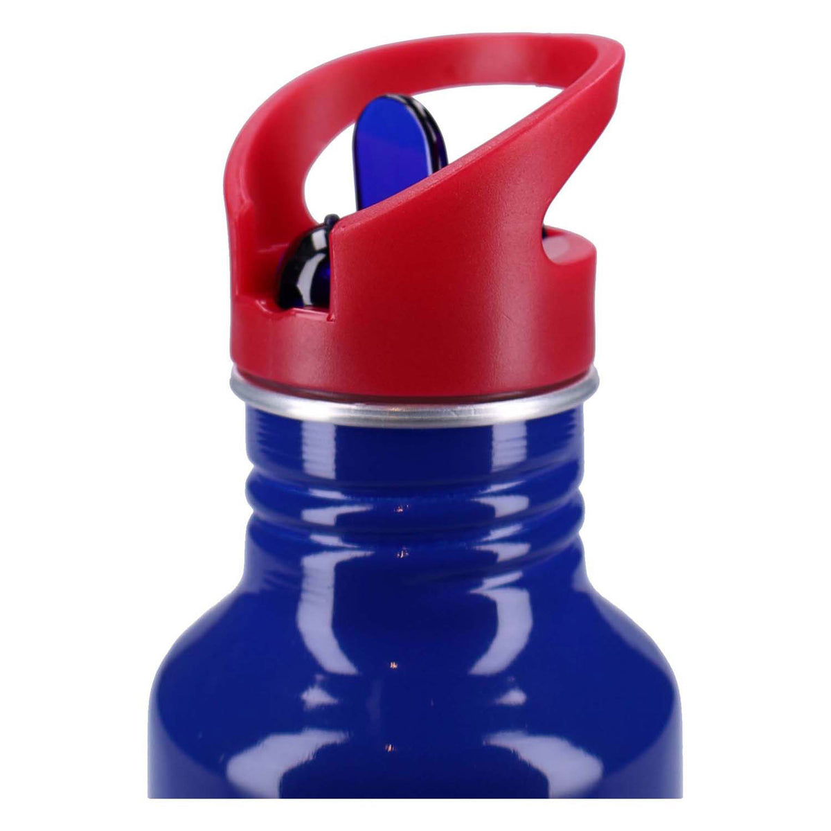 Garrafa 500ml - Sonic