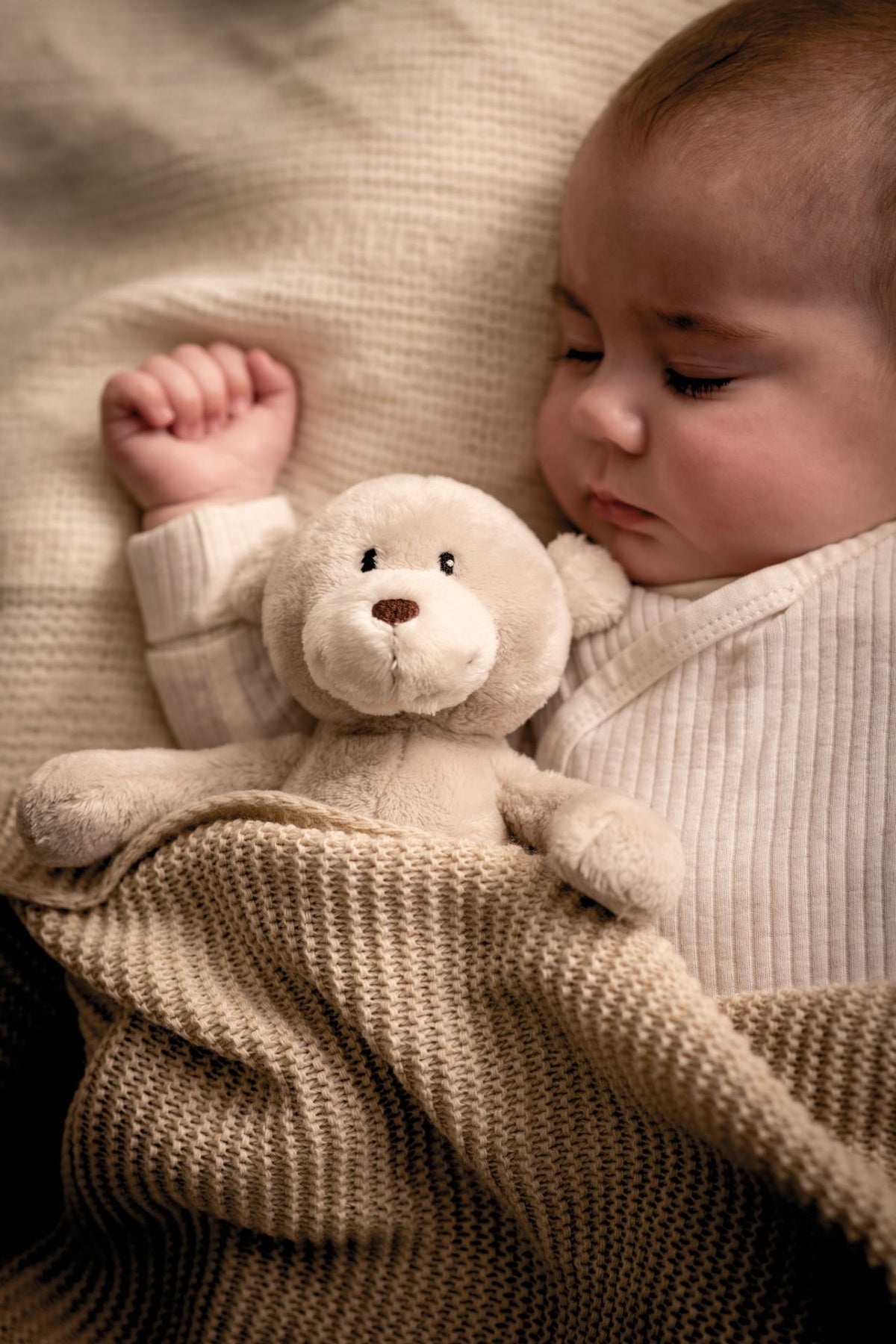 My First Friend | Peluche Urso Finni - NICI