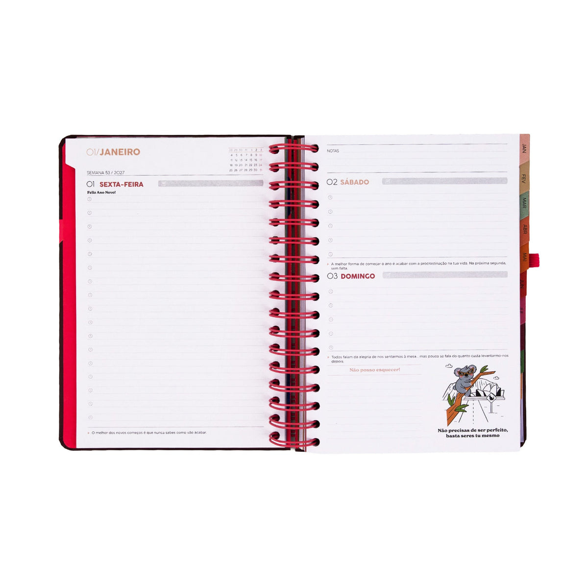 Agenda Diária 2027 Full Aesthetic - Mr.Wonderful