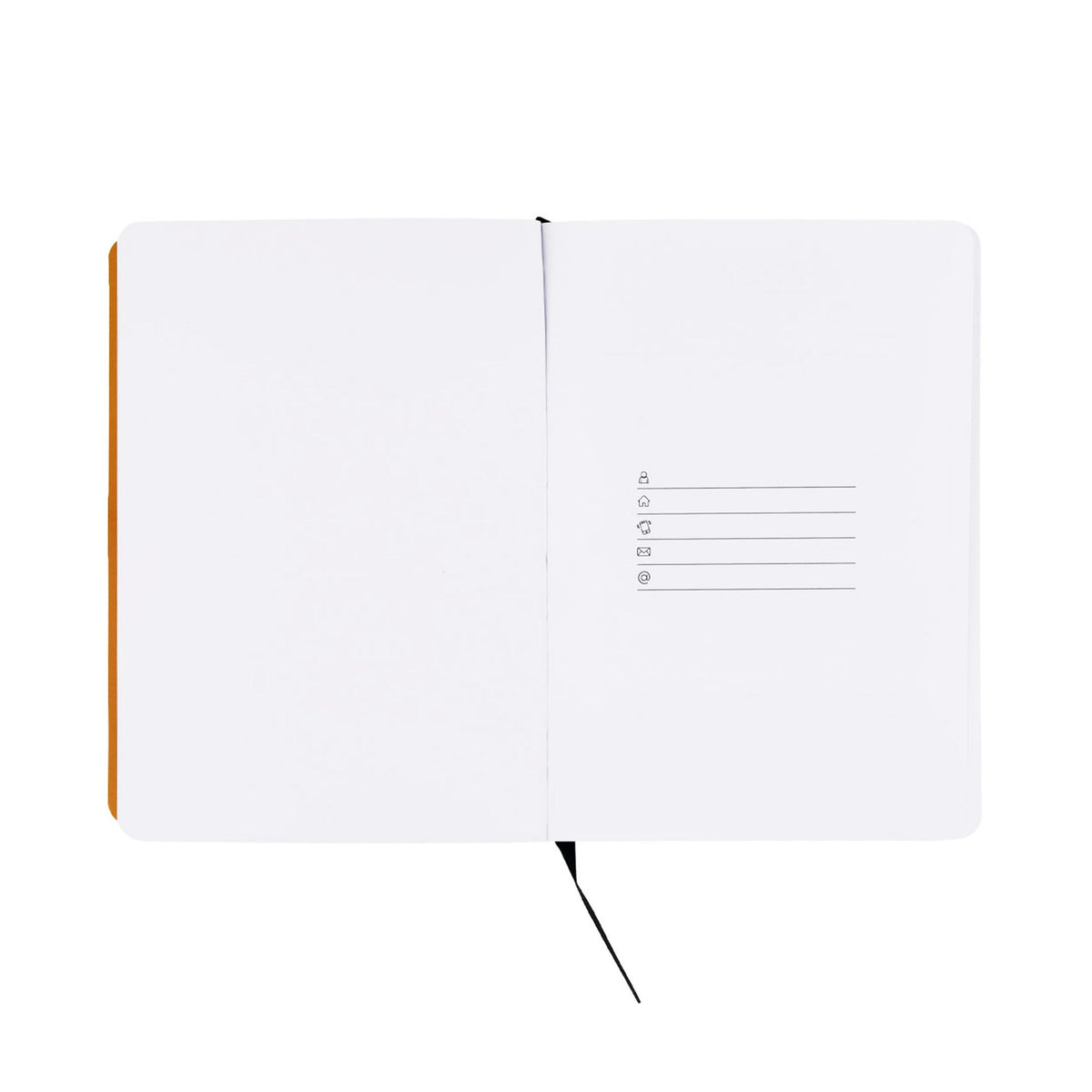 Agenda 2027 Pack Premium O Pequeno Príncipe - Mr.Wonderful