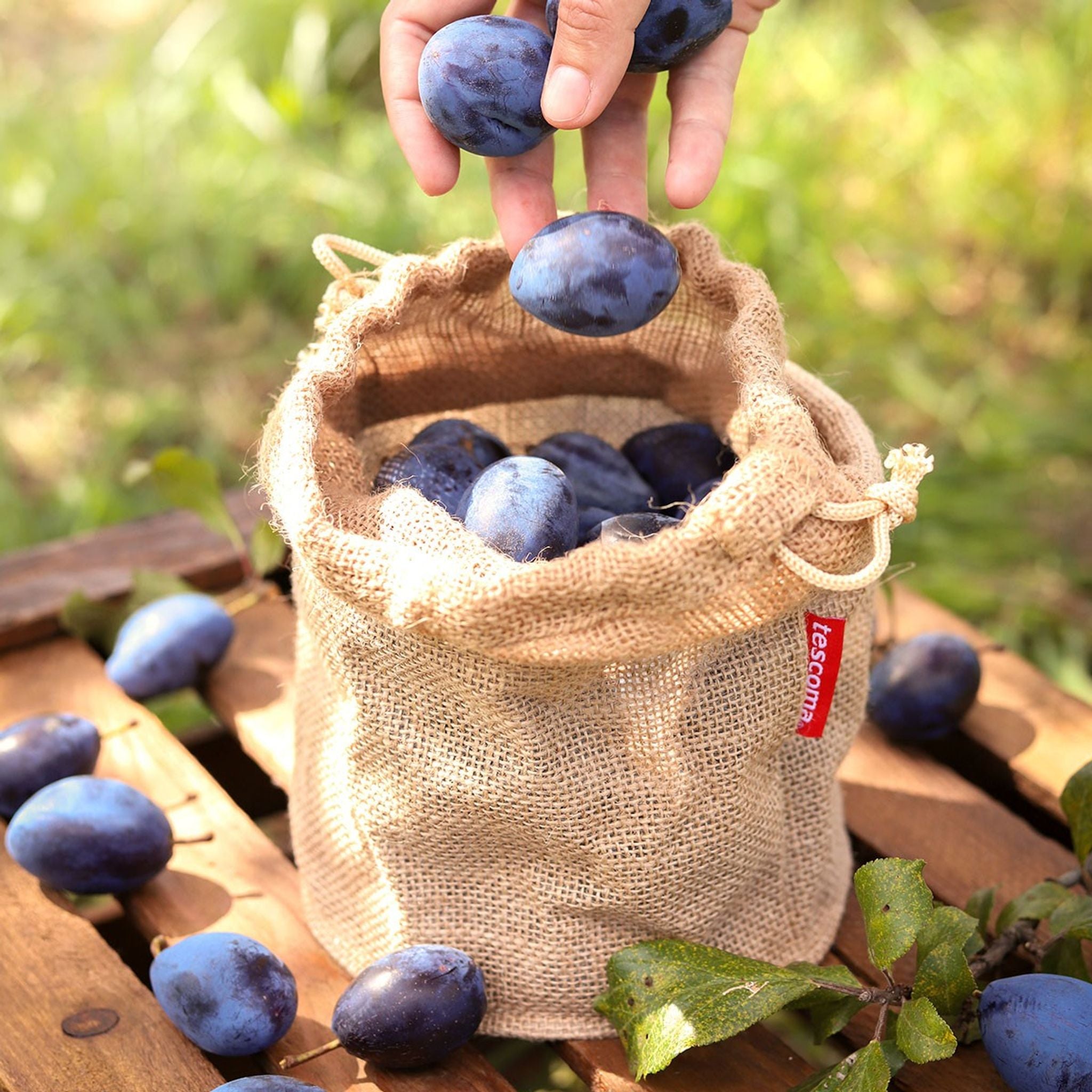 Saco p/legumes 2.5L - 4FOOD